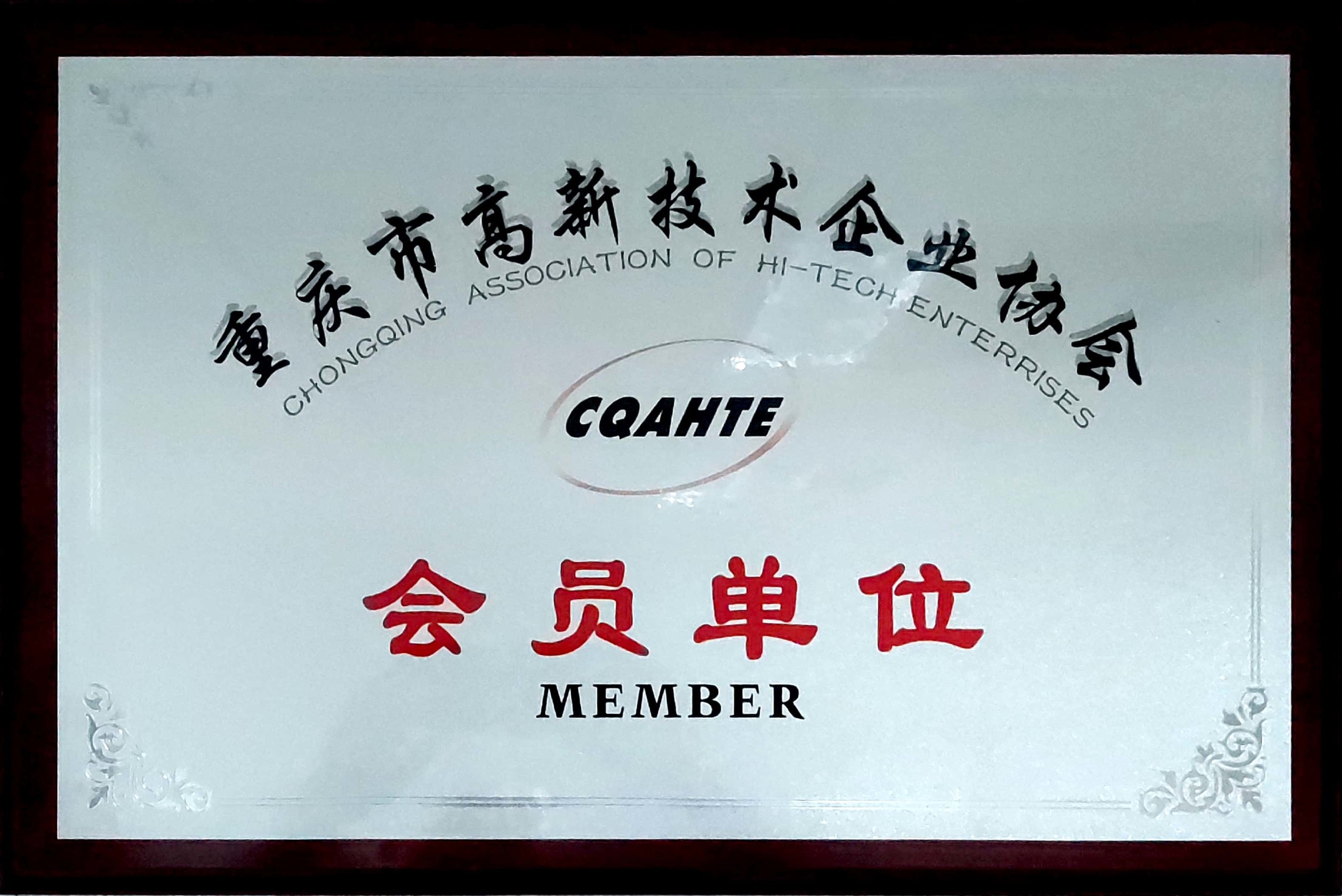 高新技術(shù)企業(yè)協(xié)會會員單位