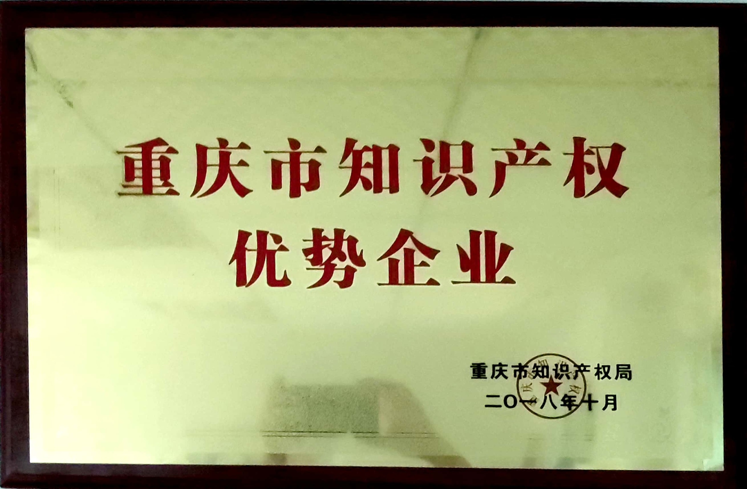 知識產(chǎn)權(quán)優(yōu)秀企業(yè)